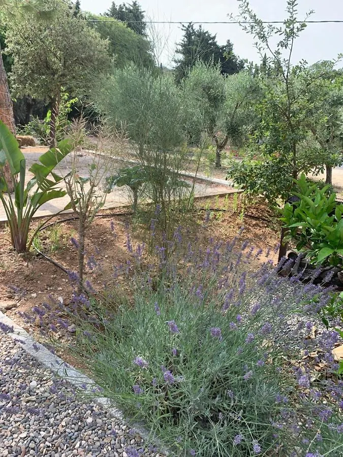 Willa Cabanon Sanary-sur-Mer Dom wakacyjny