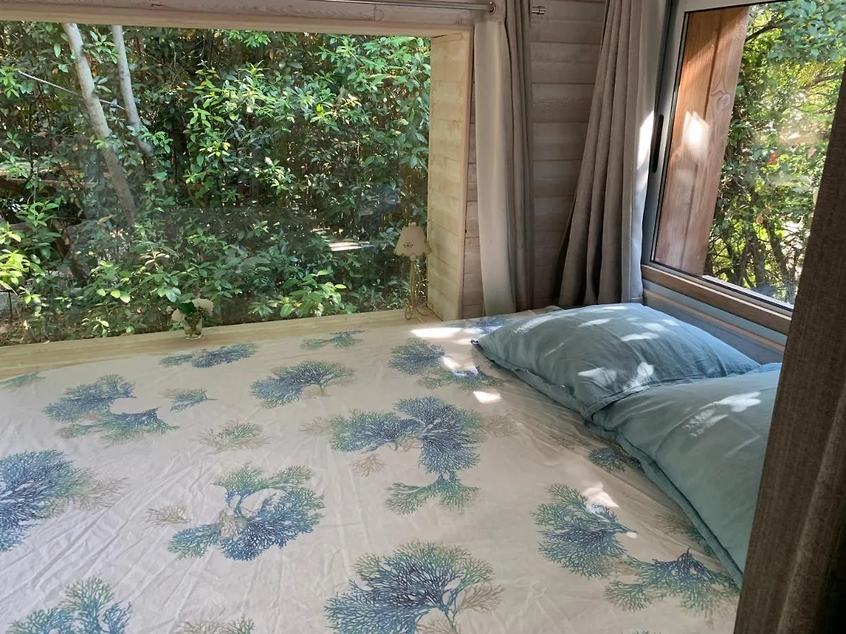 Hébergement de vacances Villa Cabanon à Sanary-sur-Mer
